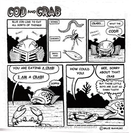 56 -Cod and Crab C- Feeding habits